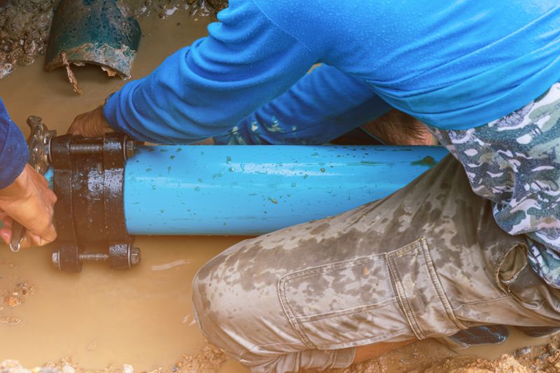 House Plumbing Repair in Denver, CO